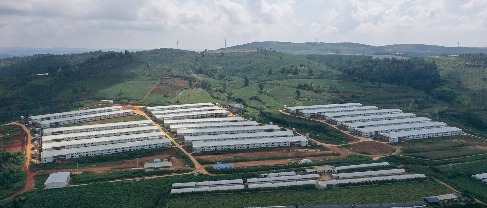 WENS Broiler Double-layer Floor Raising Project