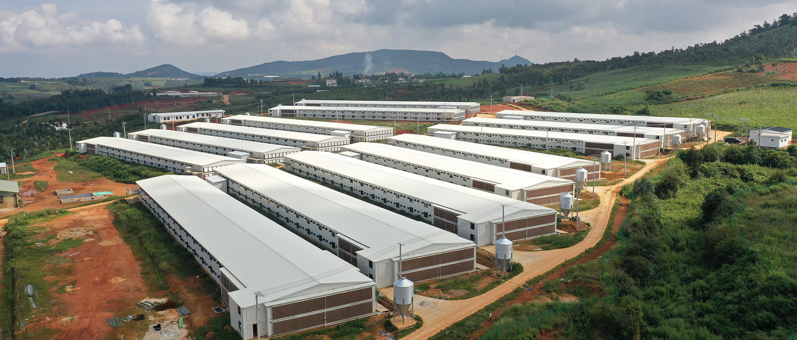 WENS Broiler Double-layer Floor Raising Project