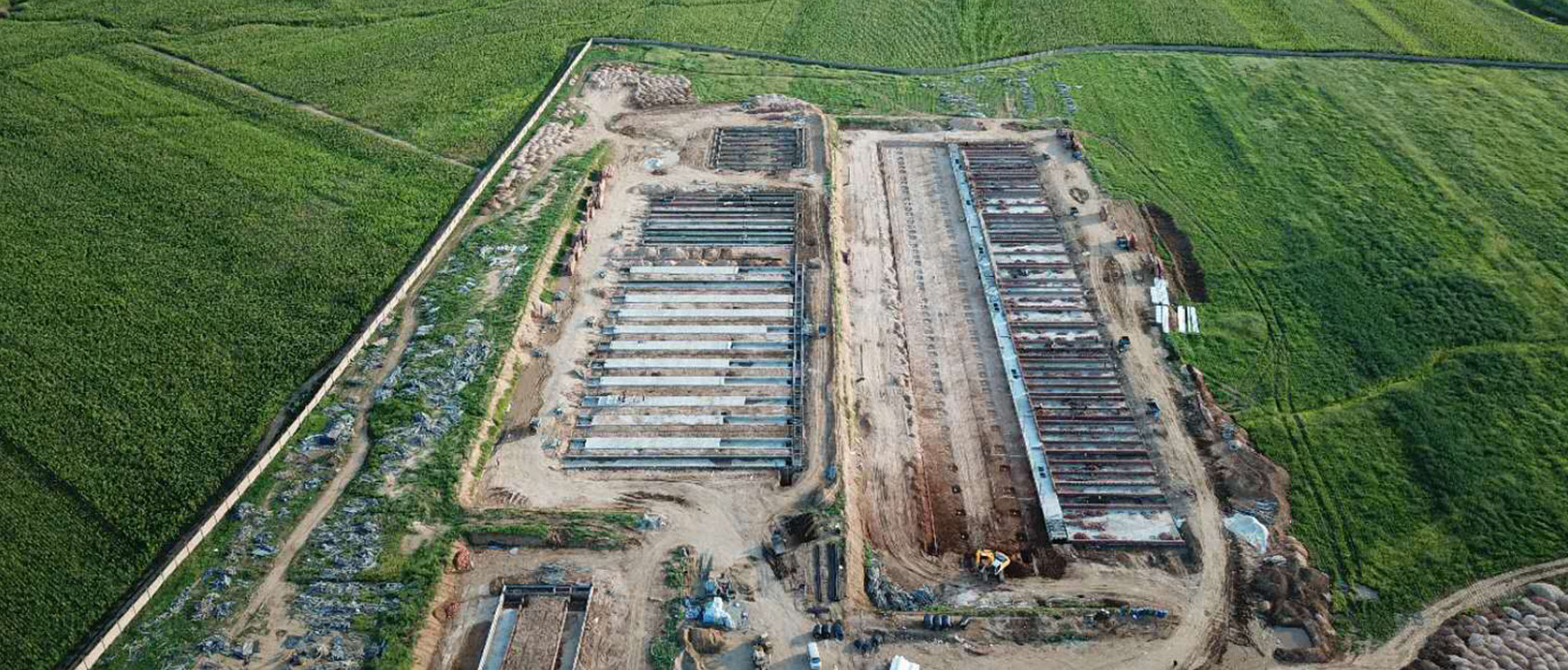 WENS Livestock Project