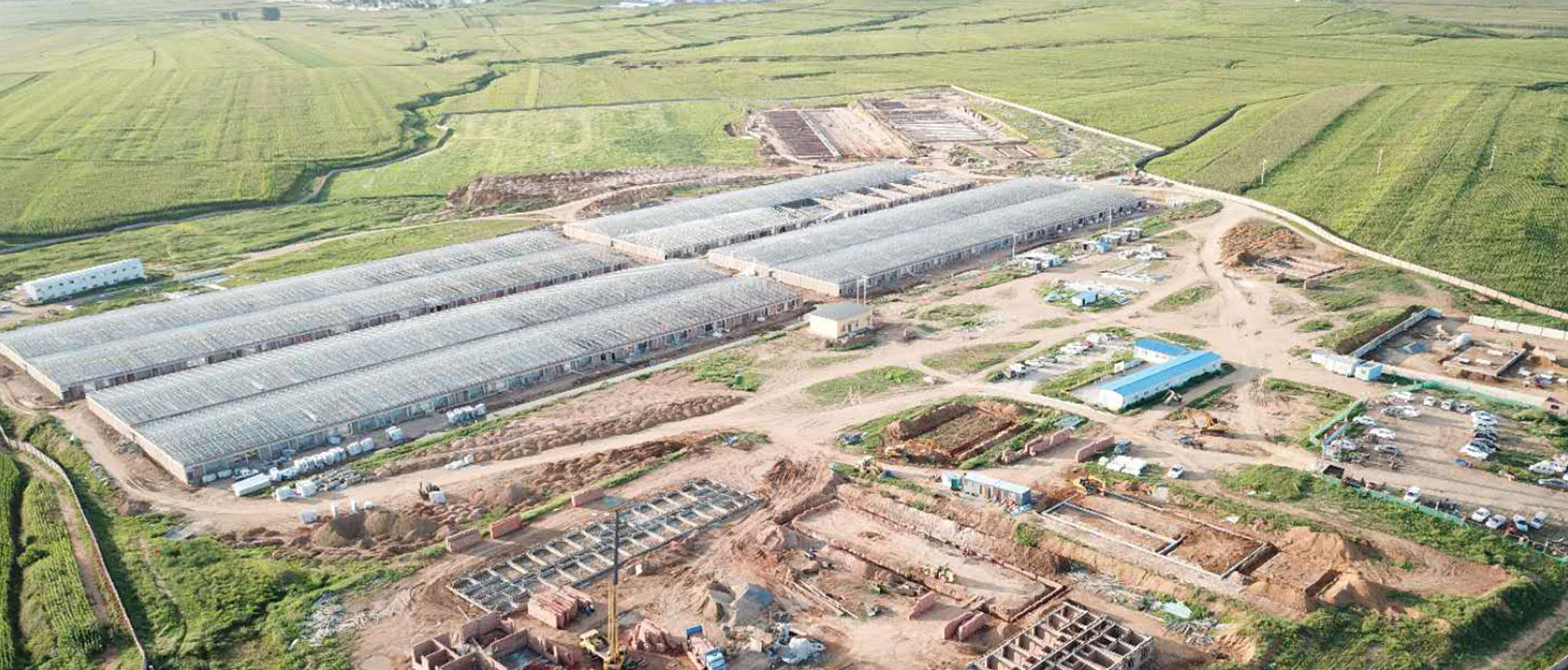 WENS Livestock Project