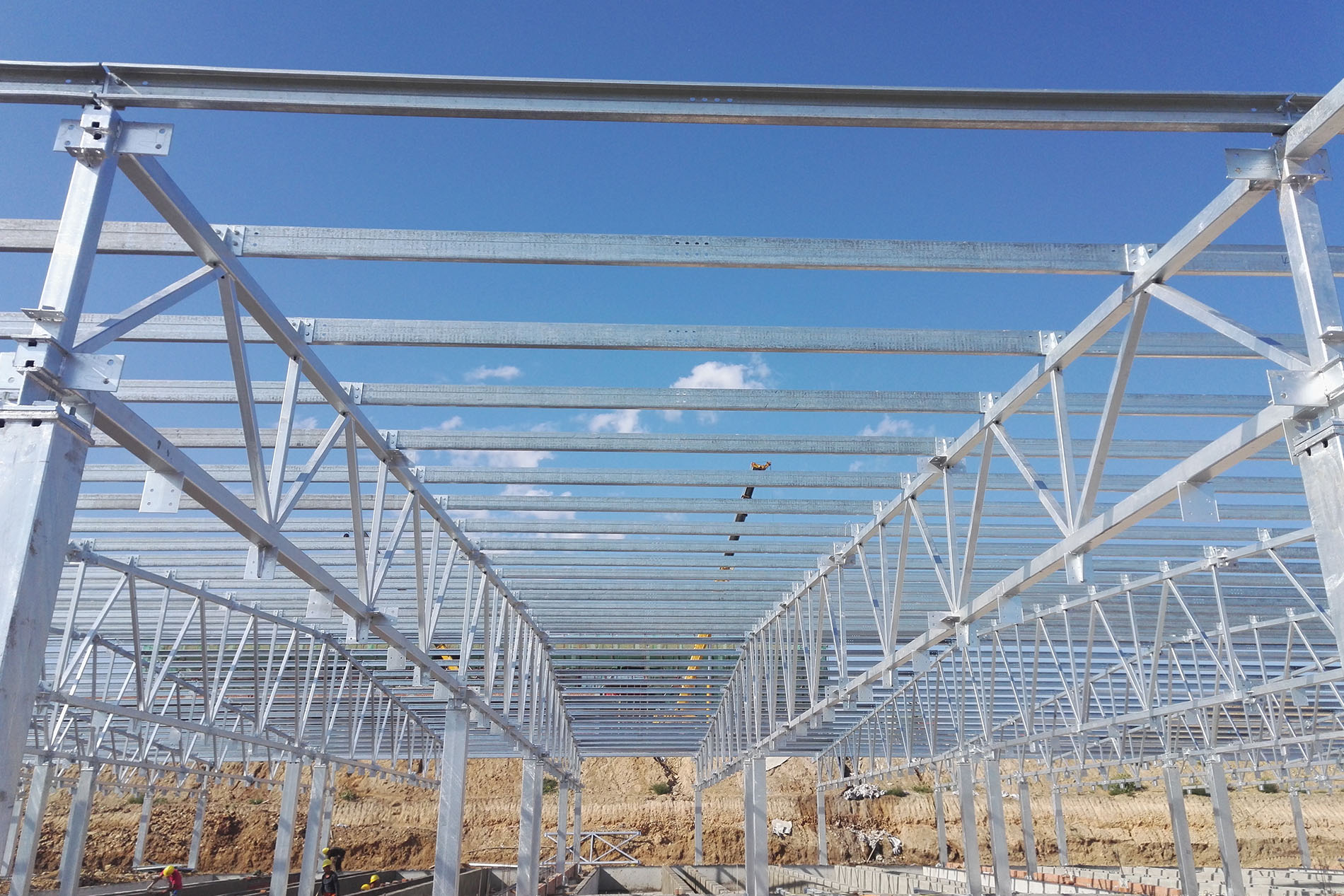 WENS Livestock Project